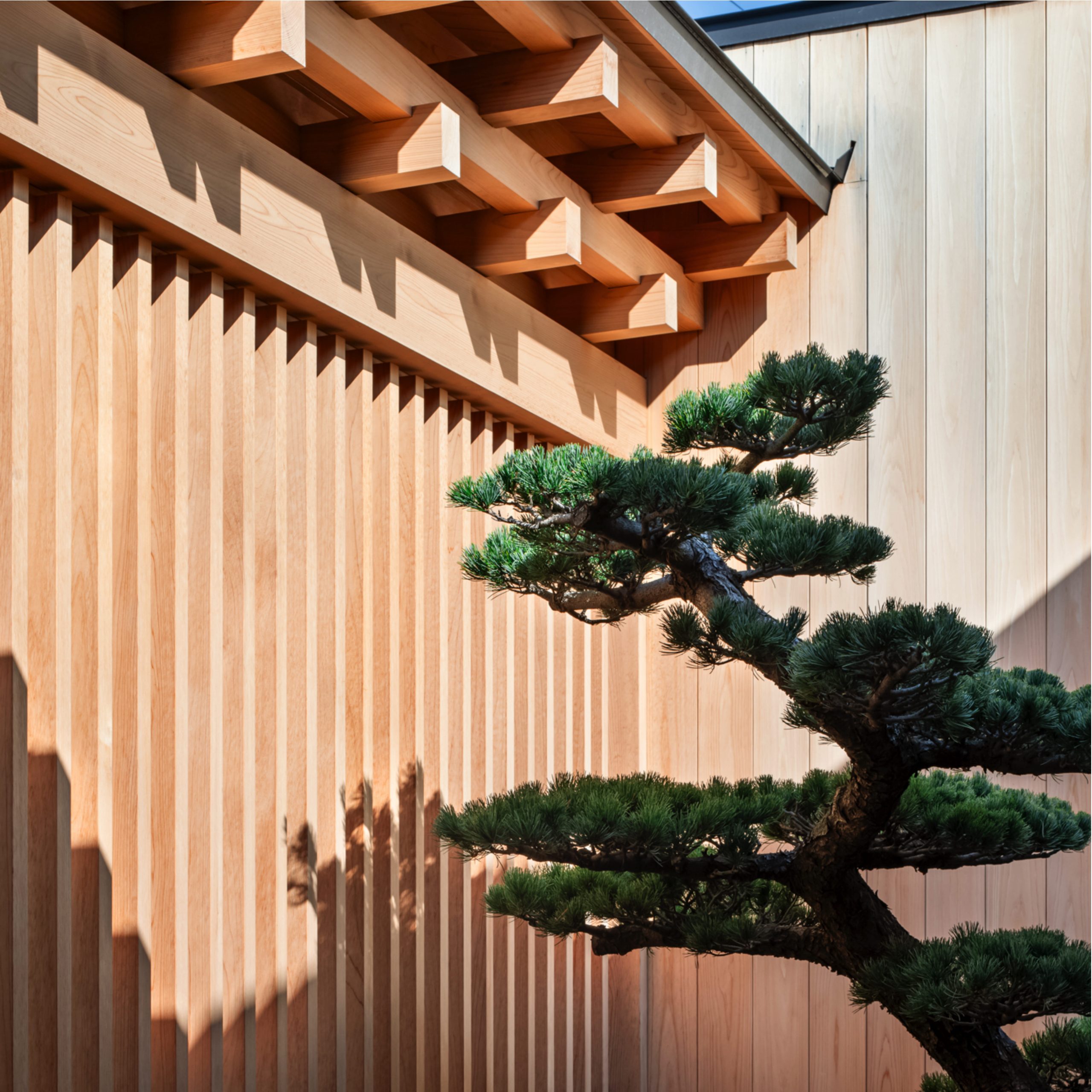 四間道 松 四間道 松